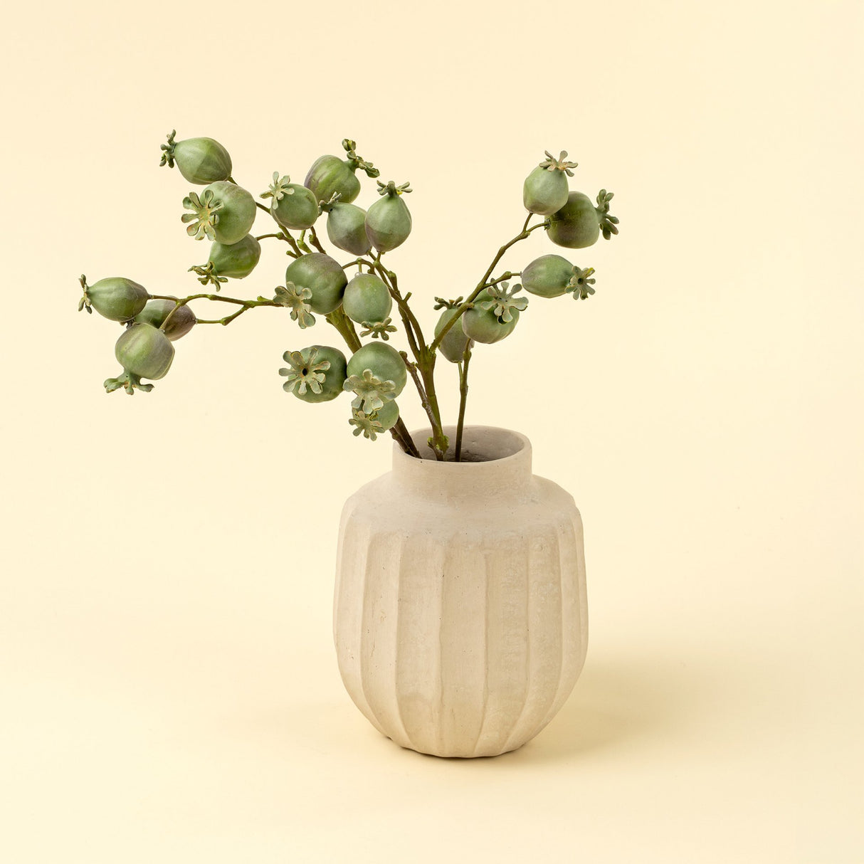 Poppy Pod Branch, Set of 24 from Mercana - Luna Furniture
