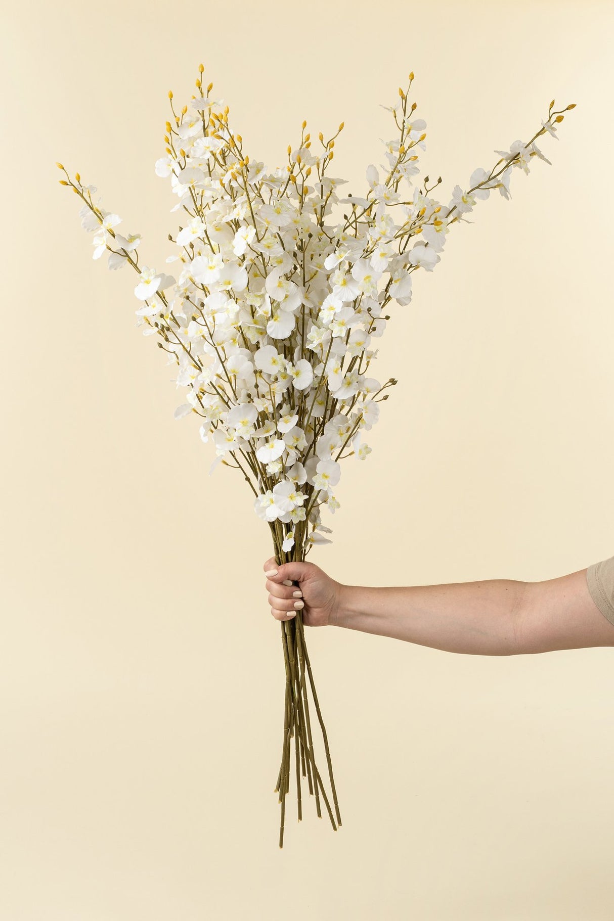 White Orchid Spray, Set of 36 from Mercana - Luna Furniture