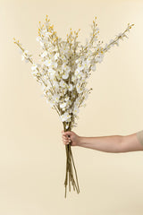 White Orchid Spray, Set of 36 from Mercana - Luna Furniture