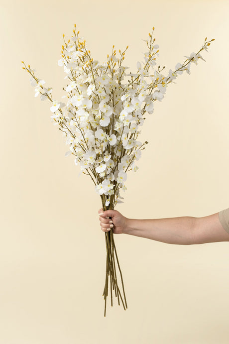 White Orchid Spray, Set of 36 from Mercana - Luna Furniture