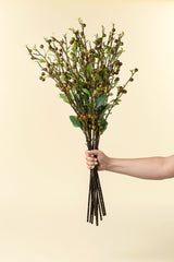 Hypericum Berry Spray, Set of 36 from Mercana - Luna Furniture