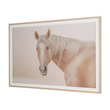 Looking Back by Nathan Larson FramedPhoto Print Matted Under Glass from Mercana - Luna Furniture