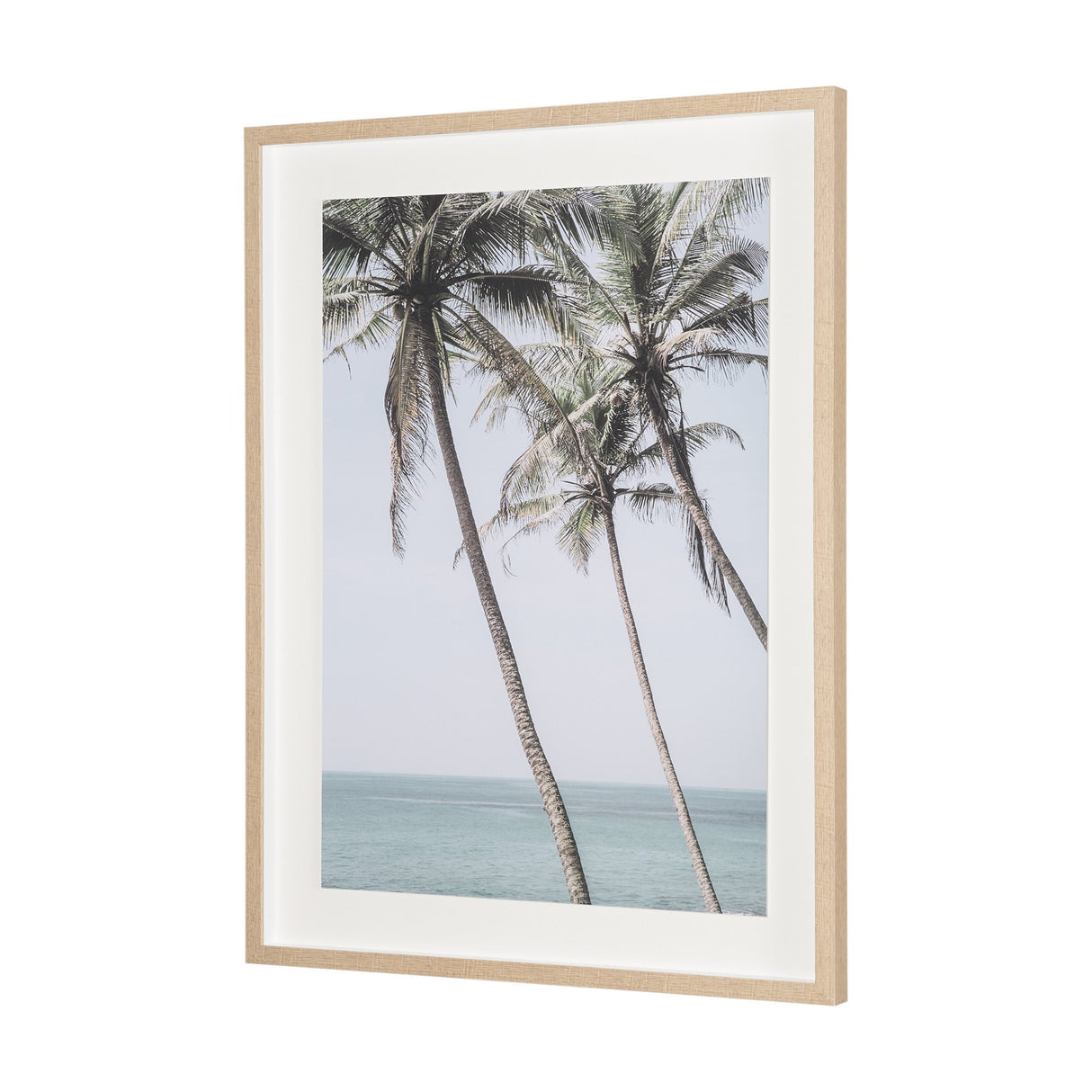 Ocean Breeze Palms by Shot By Clint Framed Photo Print Matted under Glass from Mercana - Luna Furniture