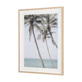 Ocean Breeze Palms by Shot By Clint Framed Photo Print Matted under Glass from Mercana - Luna Furniture