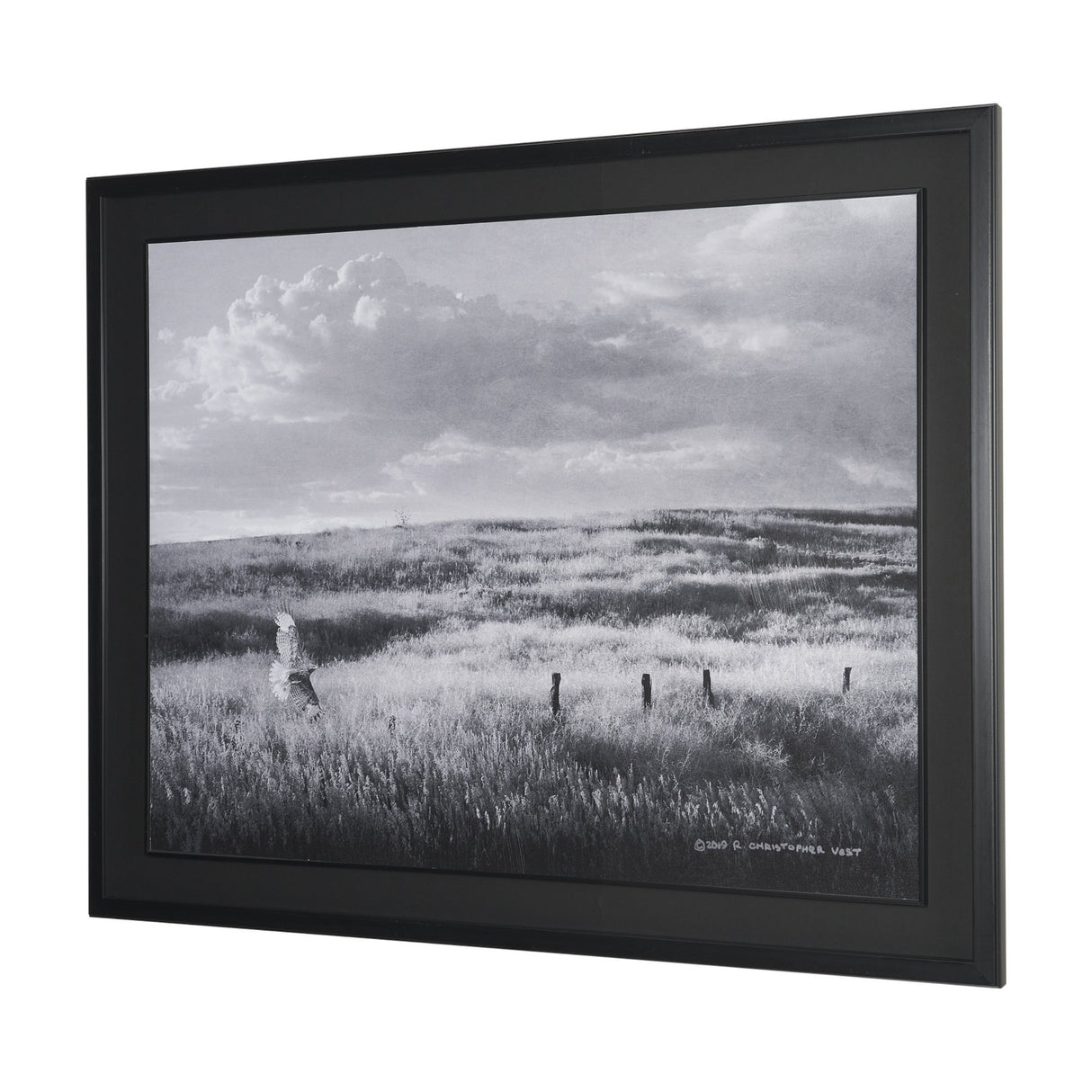Fence Line Flight I by R. Christopher Vest Textured FramedPhoto Print Matted under Glass from Mercana - Luna Furniture