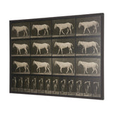 Walking Free by Eadweard Muybridge Textured Framed CanvasPhoto Print from Mercana - Luna Furniture