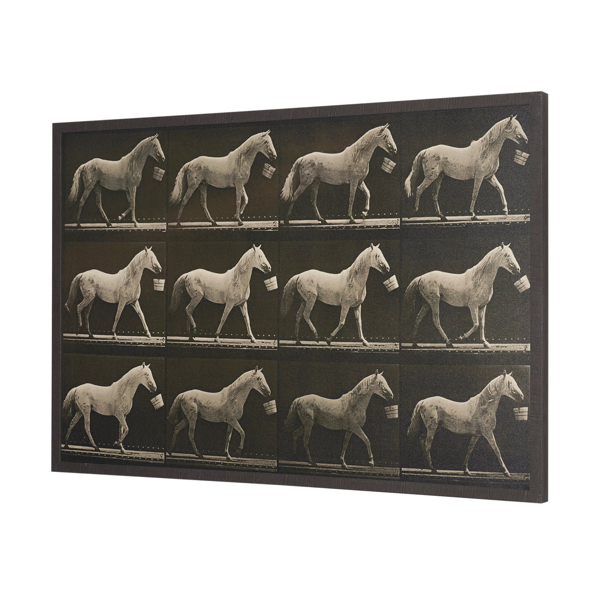 Walking Tall by Eadweard Muybridge Textured Framed CanvasPhoto Print from Mercana - Luna Furniture