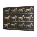 Walking Tall by Eadweard Muybridge Textured Framed CanvasPhoto Print from Mercana - Luna Furniture