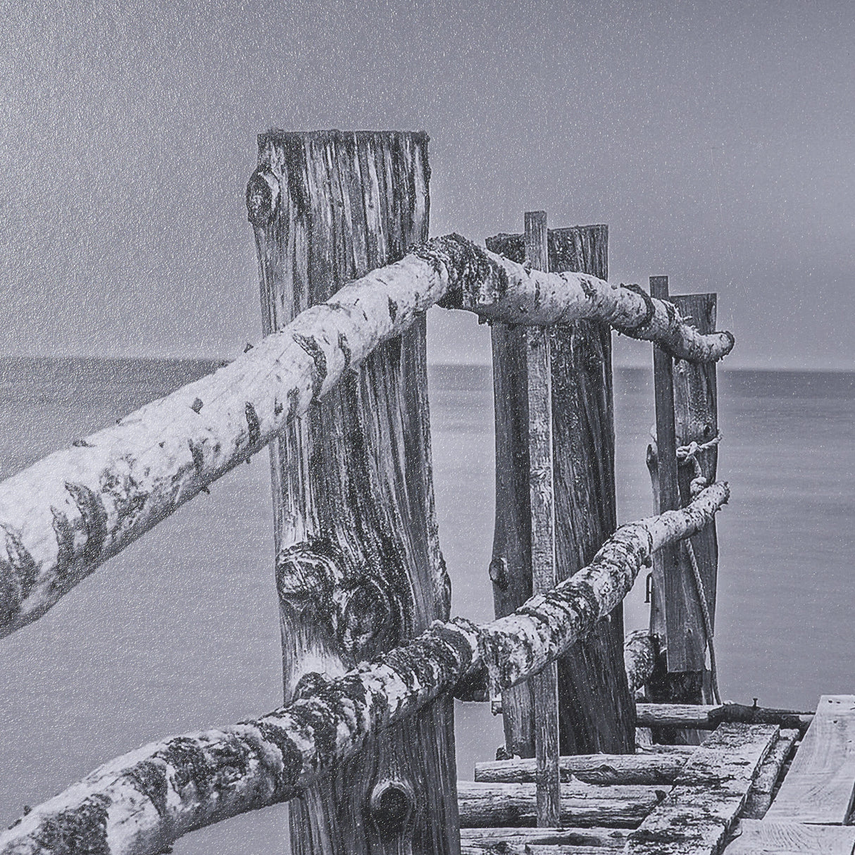 Where Water Waits by Chad Mackay Textured FramedPhoto Print Matted under Glass from Mercana - Luna Furniture