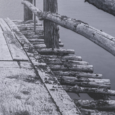 Where Water Waits by Chad Mackay Textured FramedPhoto Print Matted under Glass from Mercana - Luna Furniture