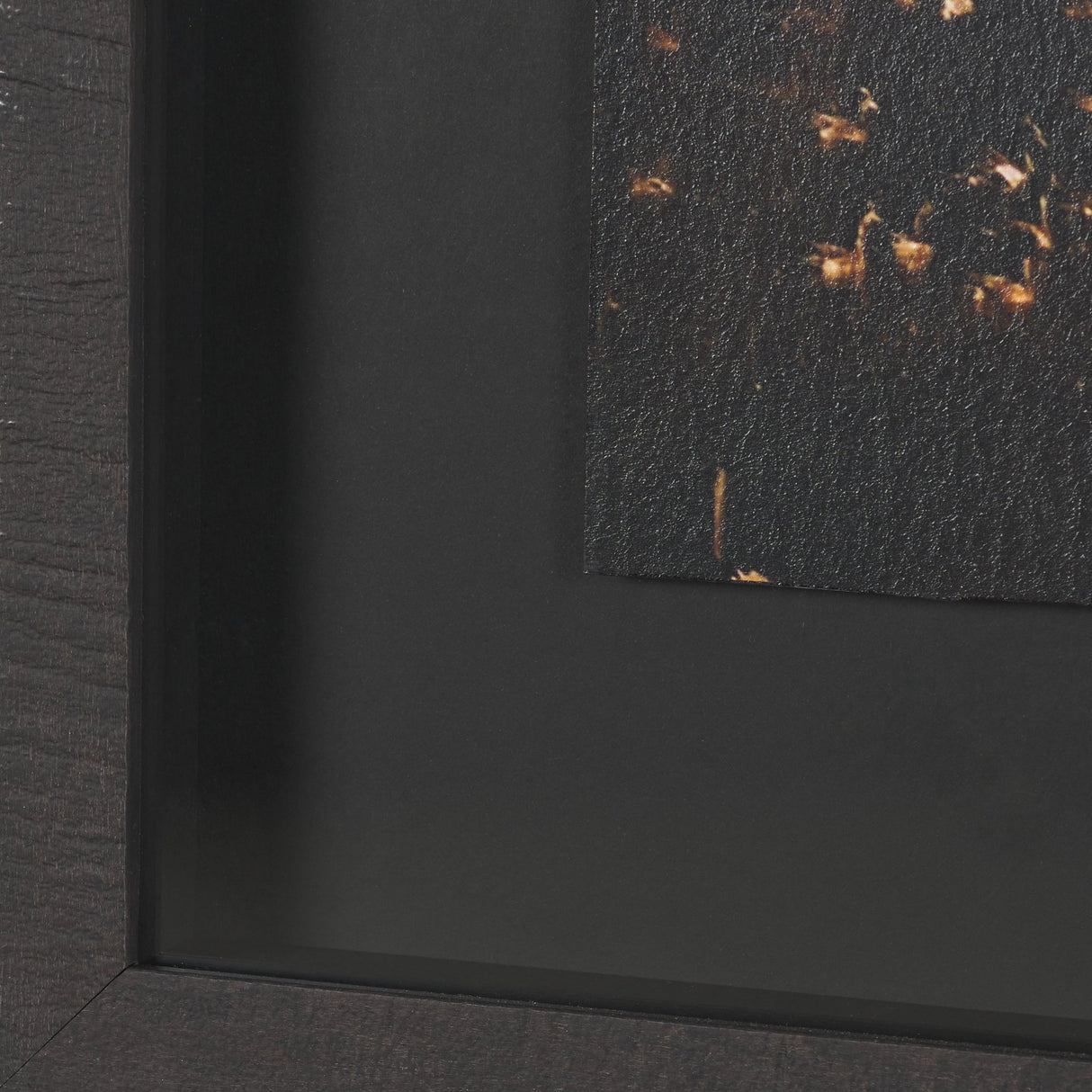Gilded Flight by Chad Mackay Textured Framed Photo Print Matted under Glass (Set of 2) from Mercana - Luna Furniture