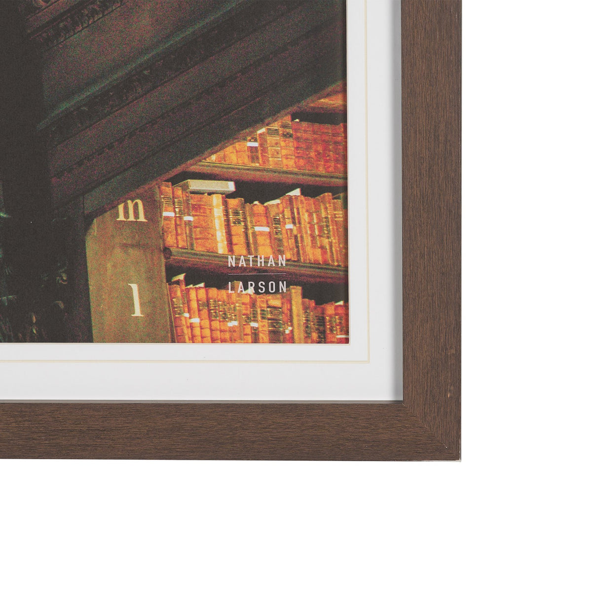Trinity Library III by Nathan Larson FramedPhoto Print Matted under Glass from Mercana - Luna Furniture