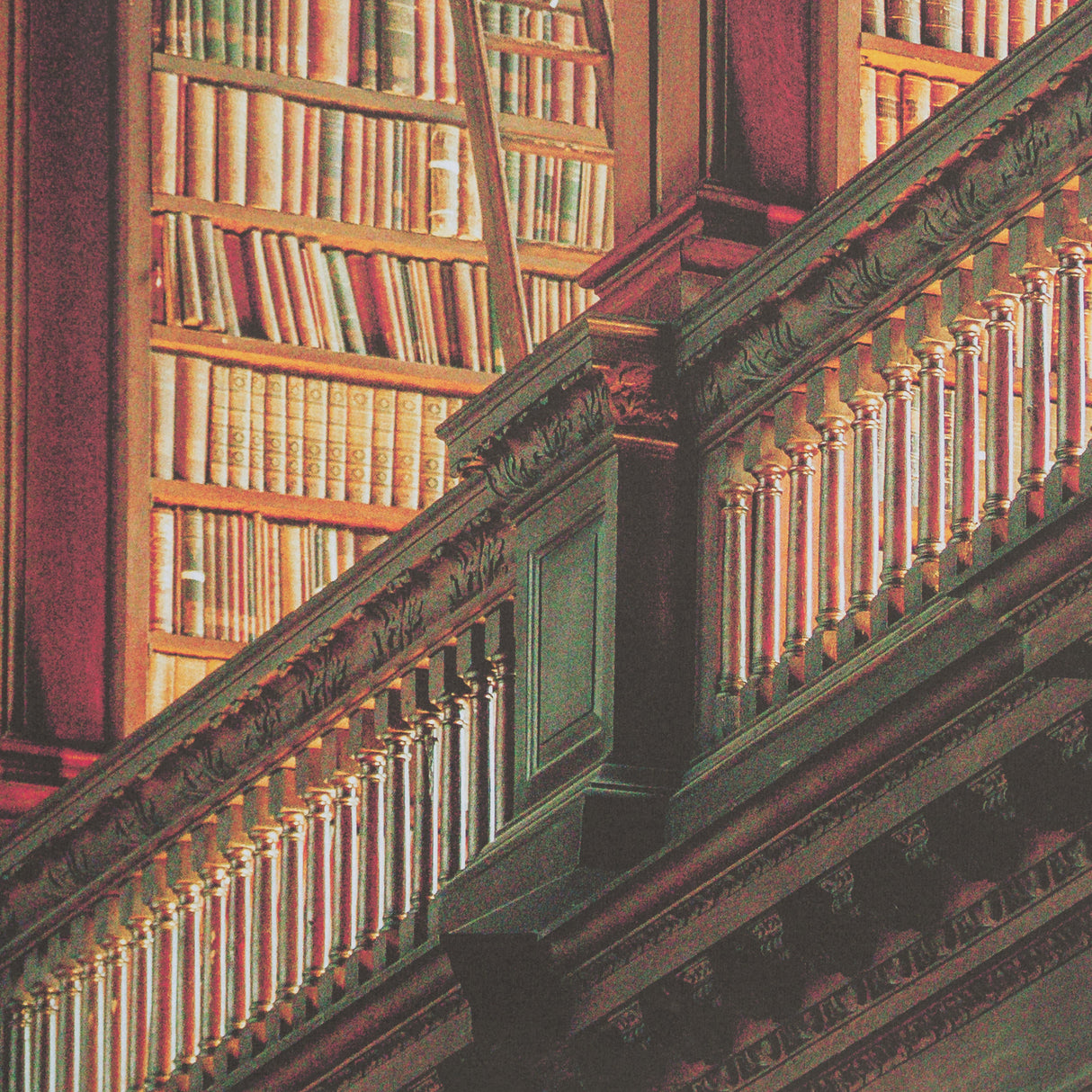 Trinity Library III by Nathan Larson FramedPhoto Print Matted under Glass from Mercana - Luna Furniture