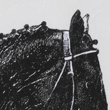 Equestrian Etching IV by Mercana Studio Hand-Embellished Textured Framed Artwork Matted under Glass from Mercana - Luna Furniture