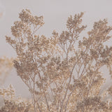 Big Bend National Park by Nathan Larson FramedPhoto Print Matted Under Glass from Mercana - Luna Furniture