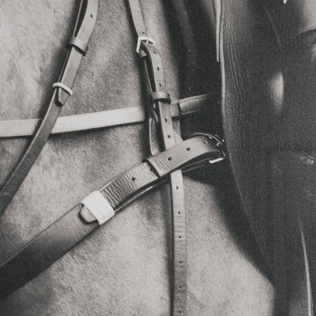 Wield by The Chelsea Collection Textured FramedPhoto Print Matted under Glass from Mercana - Luna Furniture