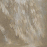 Passing Shadows I by Mercana Studio Framed Artwork Matted under Glass from Mercana - Luna Furniture