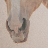 Looking Back by Nathan Larson FramedPhoto Print Matted Under Glass from Mercana - Luna Furniture