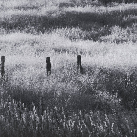 Fence Line Flight I by R. Christopher Vest Textured FramedPhoto Print Matted under Glass from Mercana - Luna Furniture