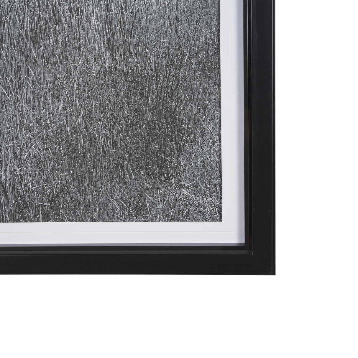 Farm Serenity I by Leda Robertson Textured FramedPhoto Print Matted under Glass from Mercana - Luna Furniture