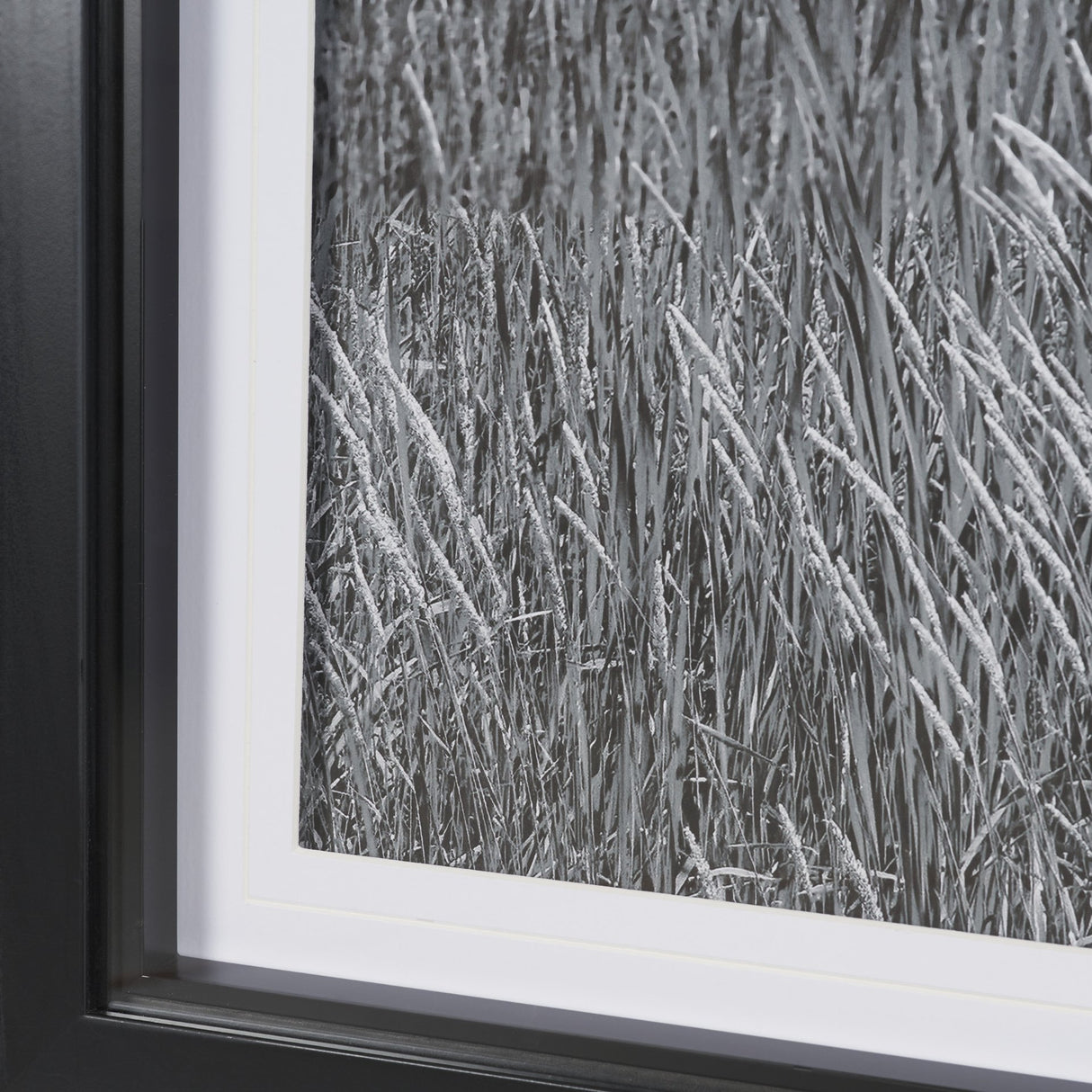 Farm Serenity I by Leda Robertson Textured FramedPhoto Print Matted under Glass from Mercana - Luna Furniture