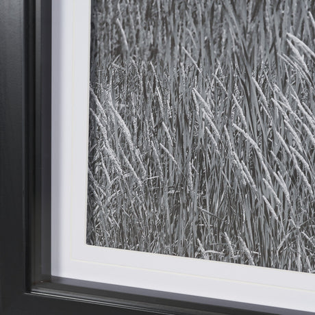 Farm Serenity I by Leda Robertson Textured FramedPhoto Print Matted under Glass from Mercana - Luna Furniture