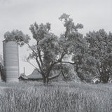 Farm Serenity I by Leda Robertson Textured FramedPhoto Print Matted under Glass from Mercana - Luna Furniture