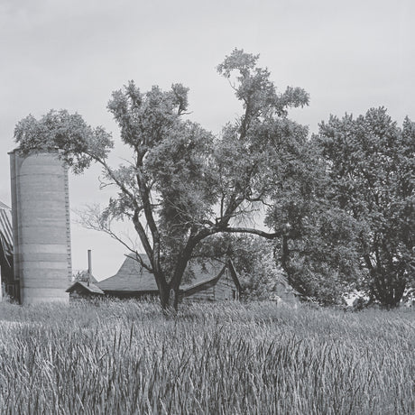 Farm Serenity I by Leda Robertson Textured FramedPhoto Print Matted under Glass from Mercana - Luna Furniture