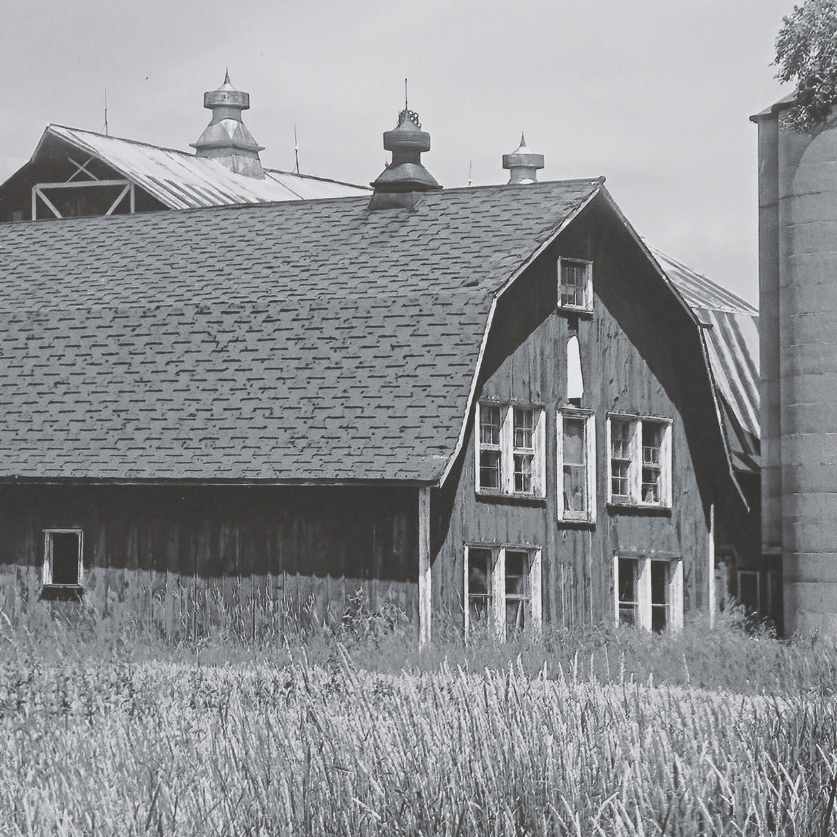 Farm Serenity I by Leda Robertson Textured FramedPhoto Print Matted under Glass from Mercana - Luna Furniture