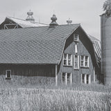 Farm Serenity I by Leda Robertson Textured FramedPhoto Print Matted under Glass from Mercana - Luna Furniture