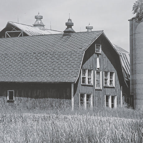 Farm Serenity I by Leda Robertson Textured FramedPhoto Print Matted under Glass from Mercana - Luna Furniture