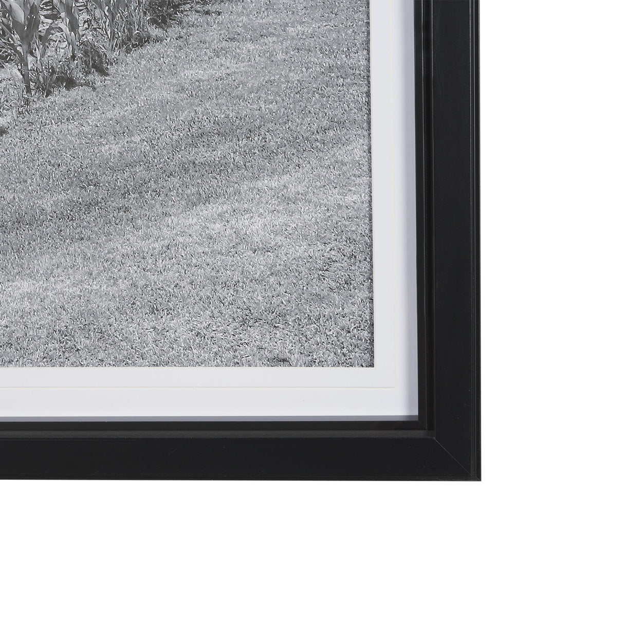 Farm Serenity II by Leda Robertson Textured FramedPhoto Print Matted under Glass from Mercana - Luna Furniture