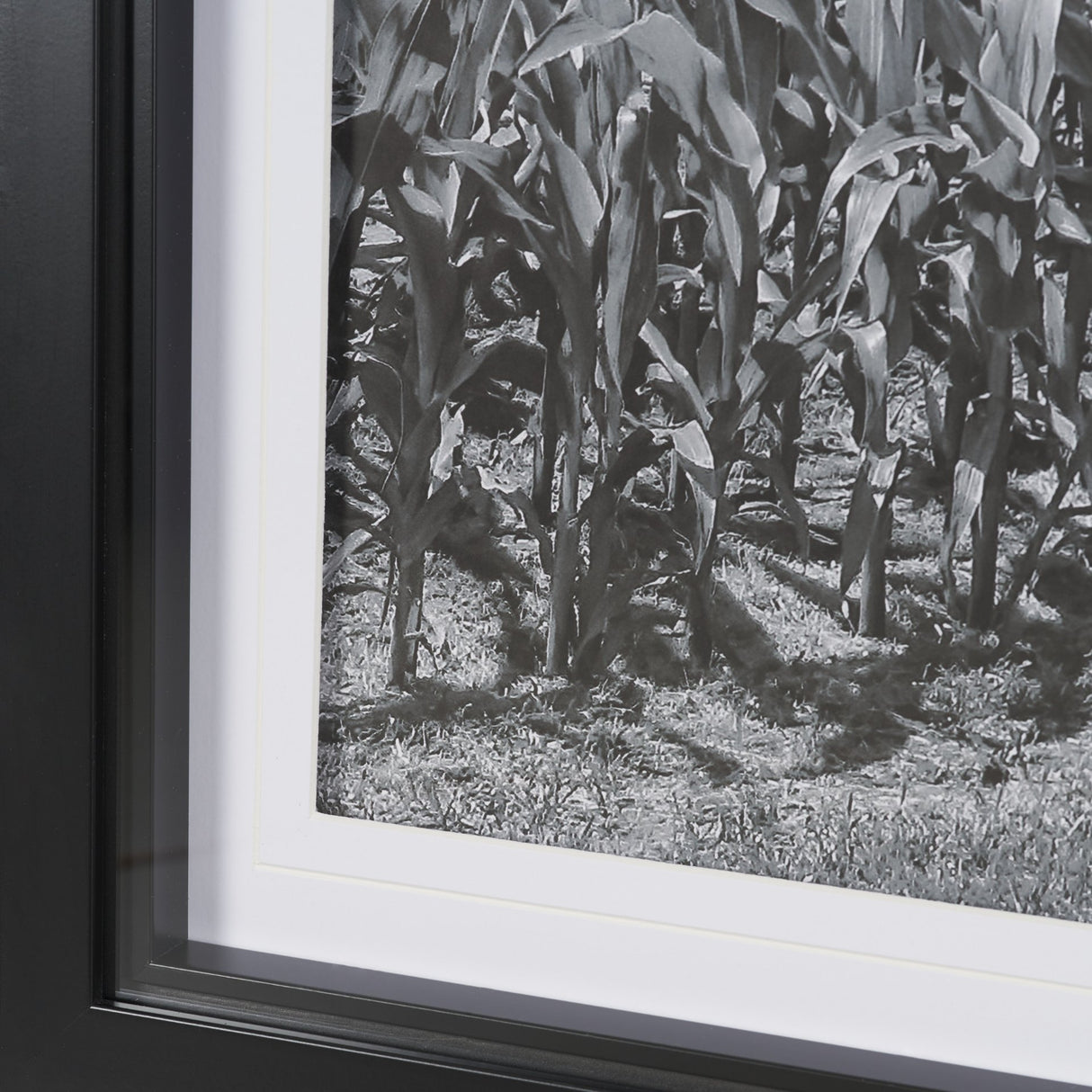 Farm Serenity II by Leda Robertson Textured FramedPhoto Print Matted under Glass from Mercana - Luna Furniture