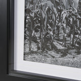 Farm Serenity II by Leda Robertson Textured FramedPhoto Print Matted under Glass from Mercana - Luna Furniture