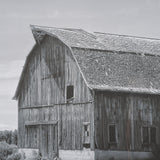 Farm Serenity II by Leda Robertson Textured FramedPhoto Print Matted under Glass from Mercana - Luna Furniture