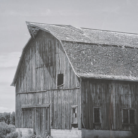 Farm Serenity II by Leda Robertson Textured FramedPhoto Print Matted under Glass from Mercana - Luna Furniture