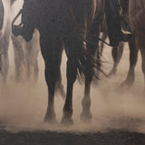 Western Horse Drive by Andreas Magnusson Textured FramedPhoto Print Matted under Glass from Mercana - Luna Furniture