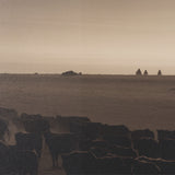 Golden Hour Cowboy Herd by Andreas Magnusson Textured FramedPhoto Print Matted under Glass from Mercana - Luna Furniture