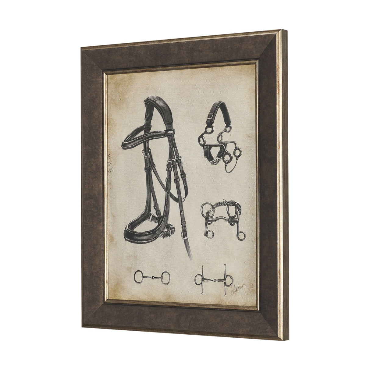 Equestrian Collection by Mercana Studio Textured Framed (Set of 6) from Mercana - Luna Furniture