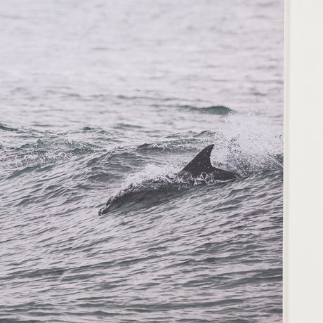 Ocean's Dance by Shot By Clint Framed Photo Print Matted under Glass from Mercana - Luna Furniture