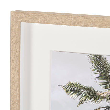 Oceanside Palms by Shot By Clint Framed Photo Print Matted under Glass from Mercana - Luna Furniture