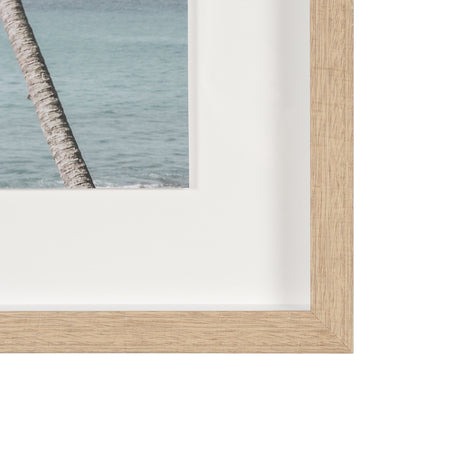 Ocean Breeze Palms by Shot By Clint Framed Photo Print Matted under Glass from Mercana - Luna Furniture