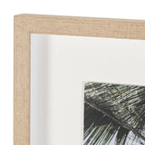 Ocean Breeze Palms by Shot By Clint Framed Photo Print Matted under Glass from Mercana - Luna Furniture