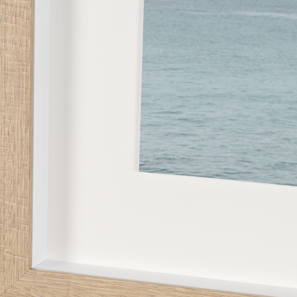 Ocean Breeze Palms by Shot By Clint Framed Photo Print Matted under Glass from Mercana - Luna Furniture