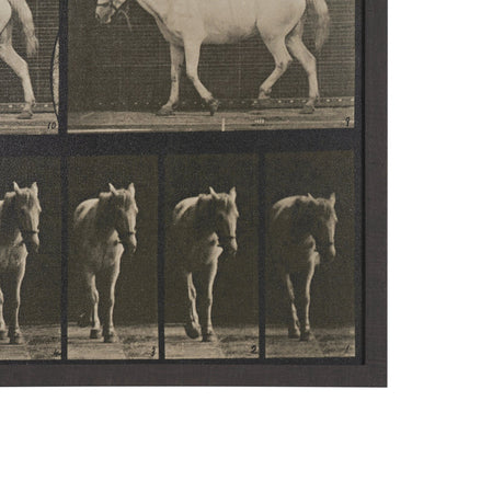 Walking Free by Eadweard Muybridge Textured Framed CanvasPhoto Print from Mercana - Luna Furniture