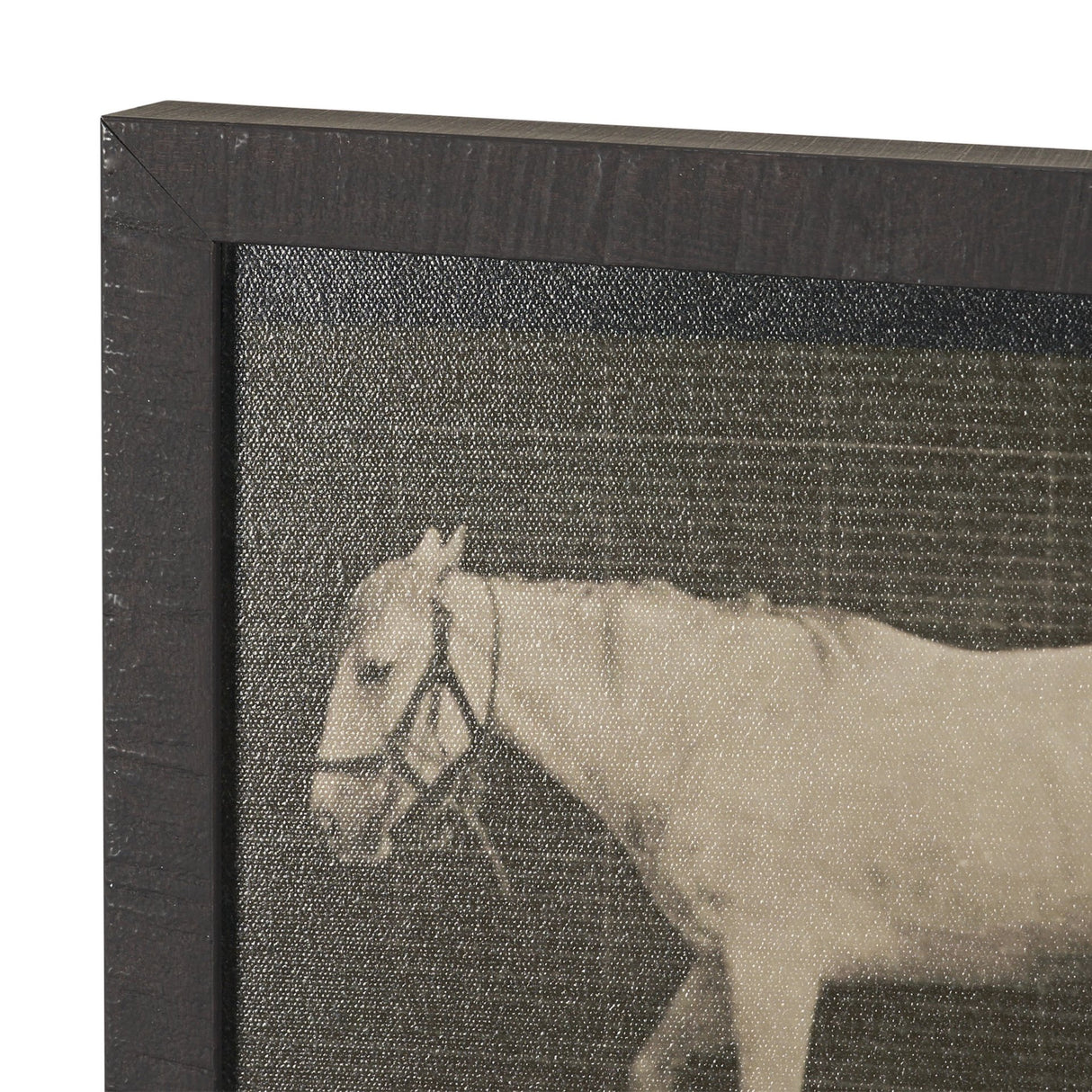 Walking Free by Eadweard Muybridge Textured Framed CanvasPhoto Print from Mercana - Luna Furniture