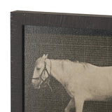 Walking Free by Eadweard Muybridge Textured Framed CanvasPhoto Print from Mercana - Luna Furniture