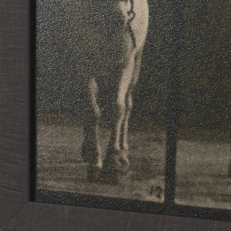 Walking Free by Eadweard Muybridge Textured Framed CanvasPhoto Print from Mercana - Luna Furniture