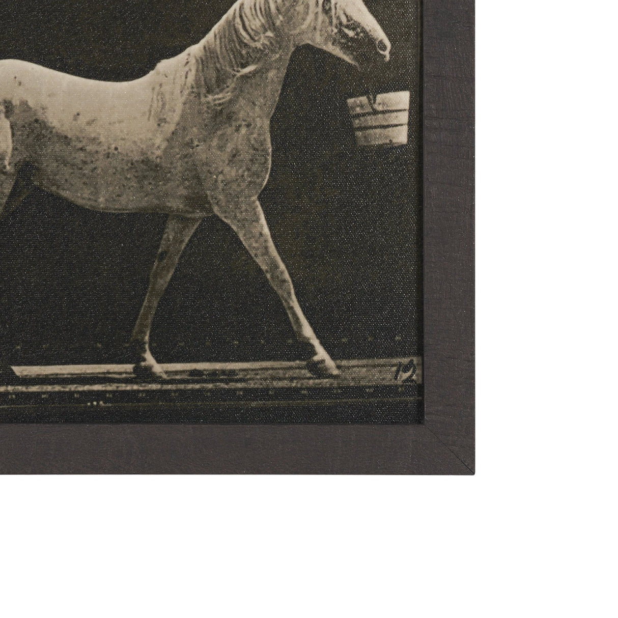 Walking Tall by Eadweard Muybridge Textured Framed CanvasPhoto Print from Mercana - Luna Furniture