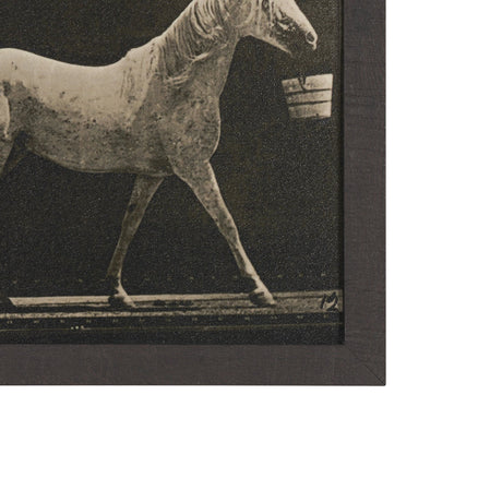 Walking Tall by Eadweard Muybridge Textured Framed CanvasPhoto Print from Mercana - Luna Furniture